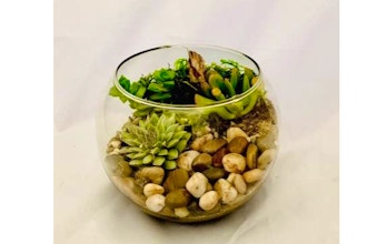 Plant Nite: Create Your Own Nature Bowl